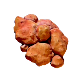 Coral Shavings