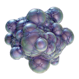 Axum Bacterial Culture